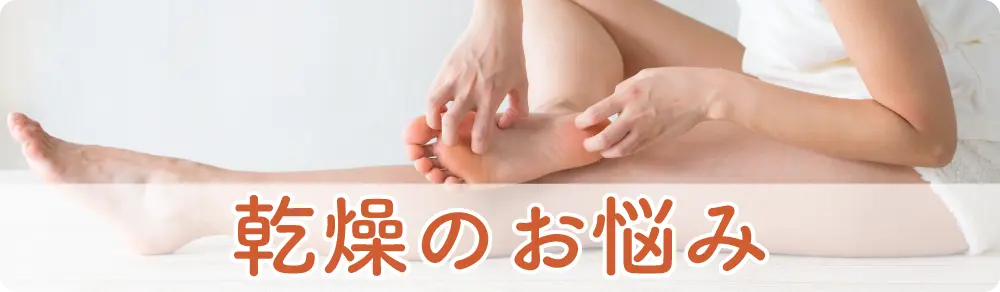 乾燥カテゴリー